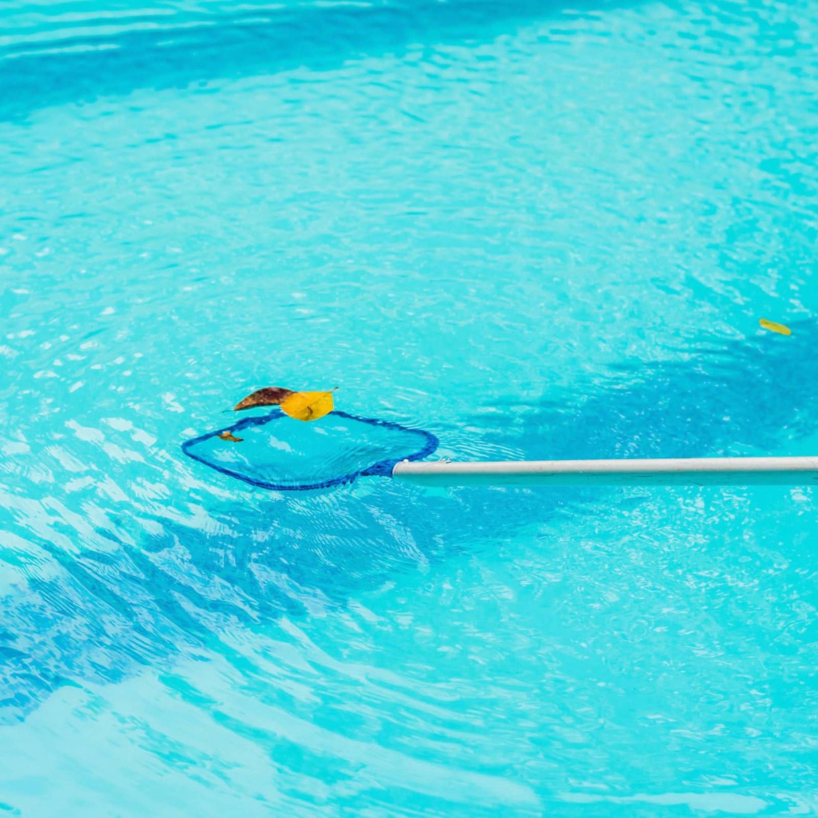 Jaring Daun Kolam Renang yang  - Pool Skimmer Net ulasan dan harga