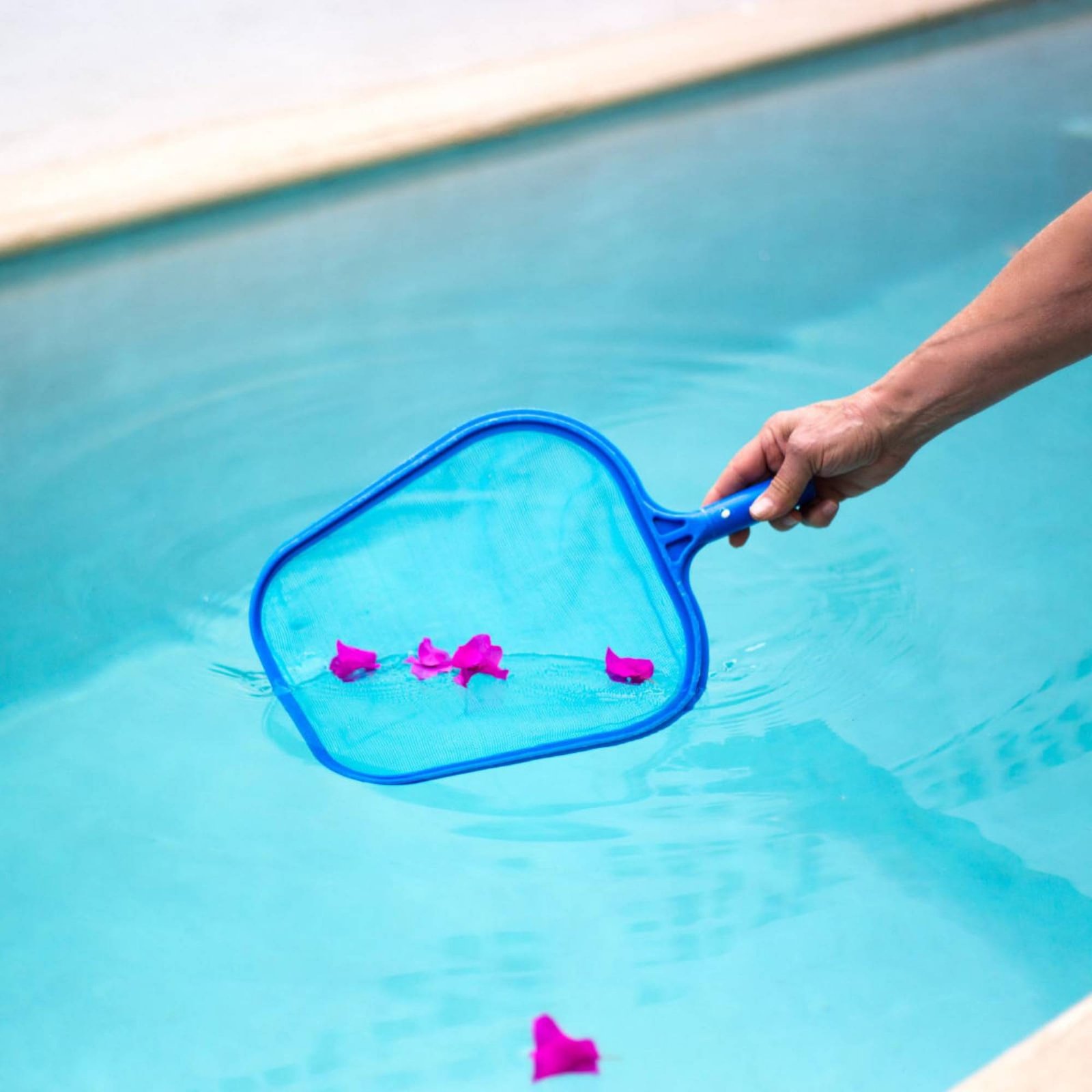 Jaring Daun Kolam Renang yang  - Pool Skimmer Net ulasan dan harga