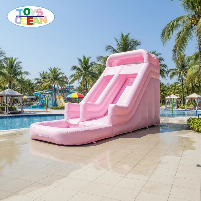 Perosotan Air Tiup Dua Jalur W - Water Slide Inflatable ulasan dan harga
